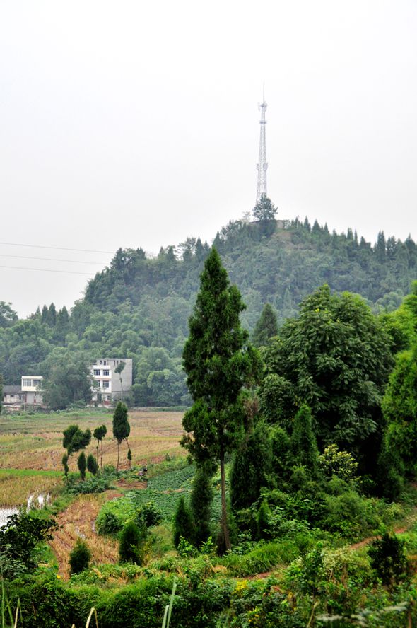 DSC_0014_.jpg
