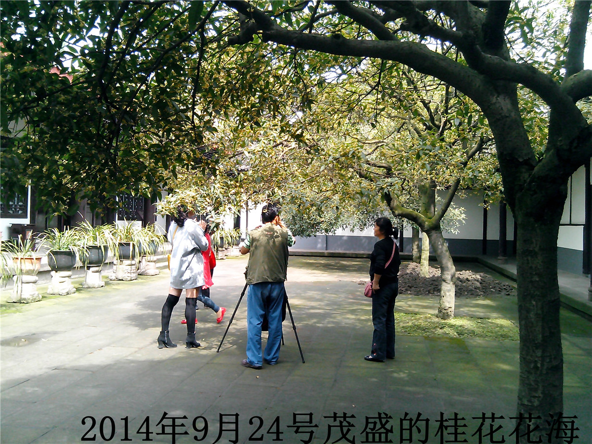 IMG_20140924_115540.jpg