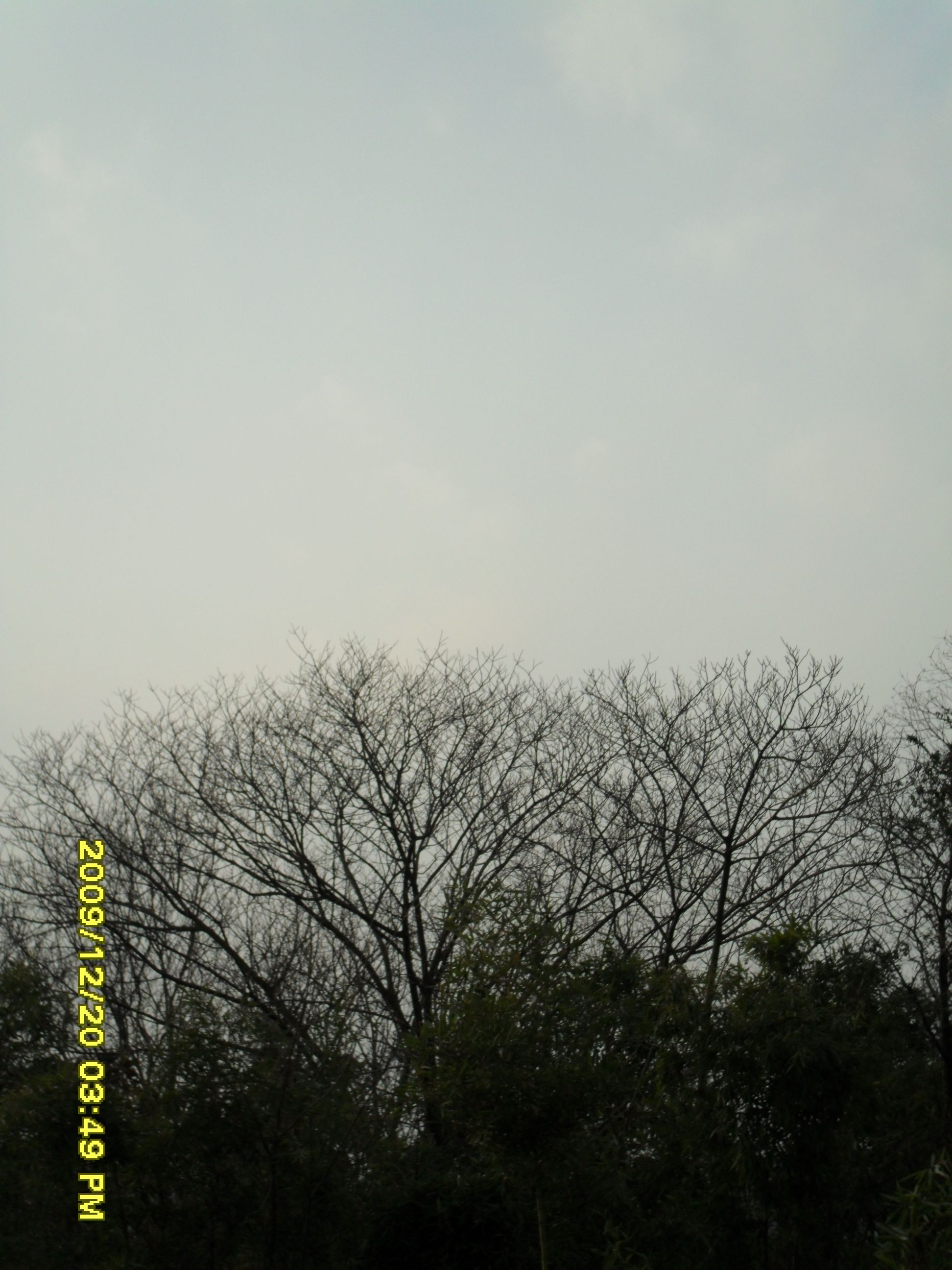 SAM_0050.JPG