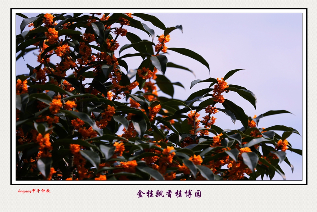 S98A6375_.jpg