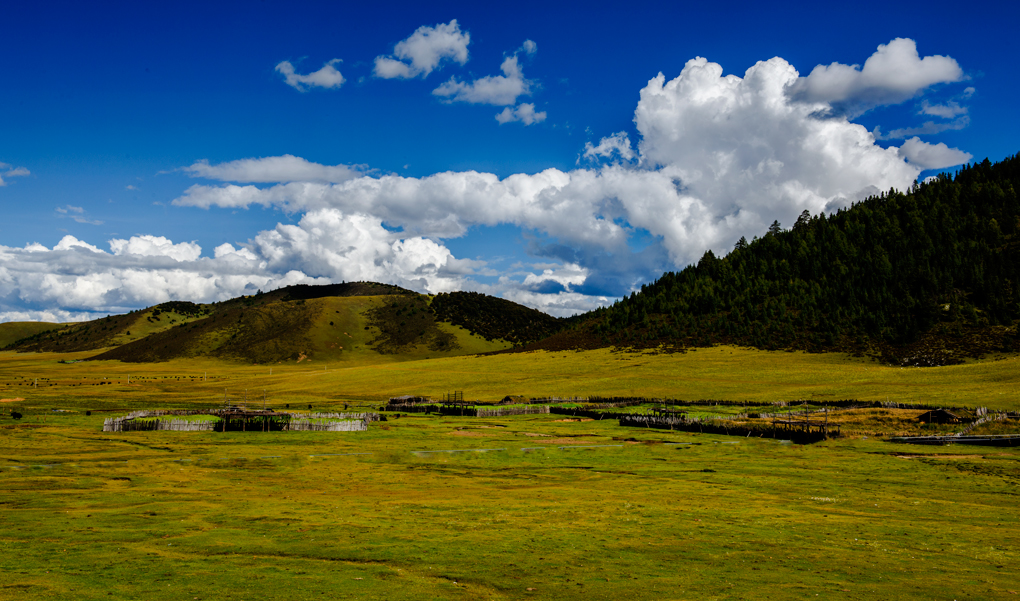 DSC_7728.jpg
