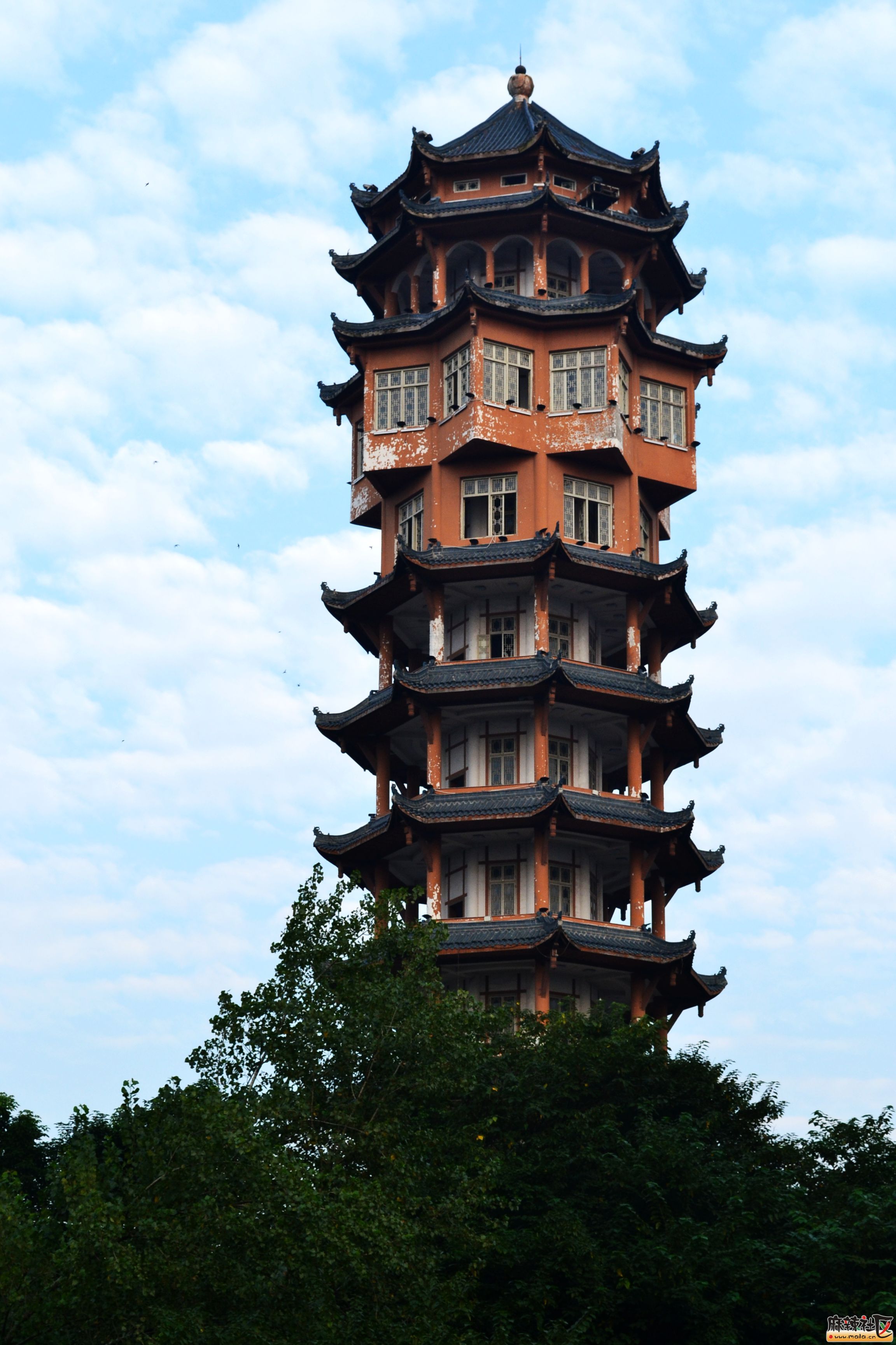 DSC_4193__.jpg