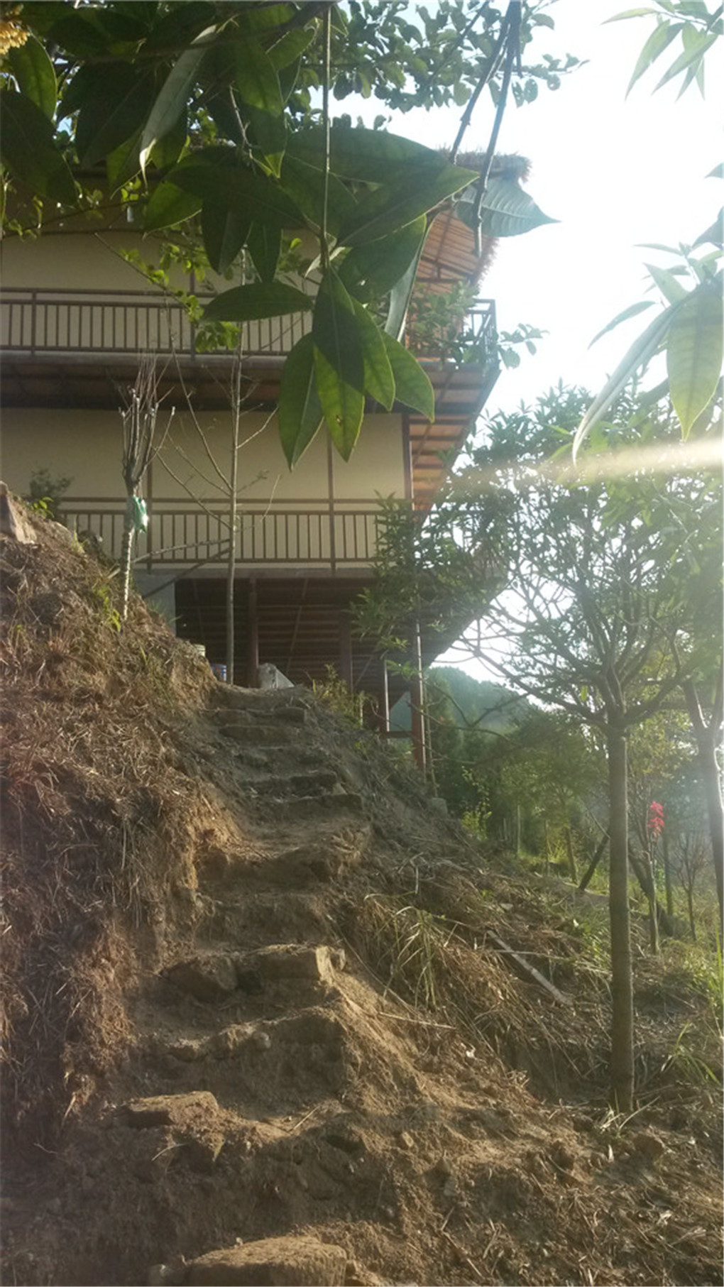 20140924_172141.jpg