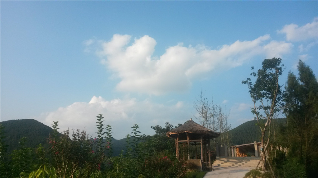 20140924_173608.jpg