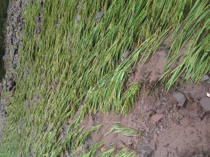 2014-09-11 10.54.45.jpg