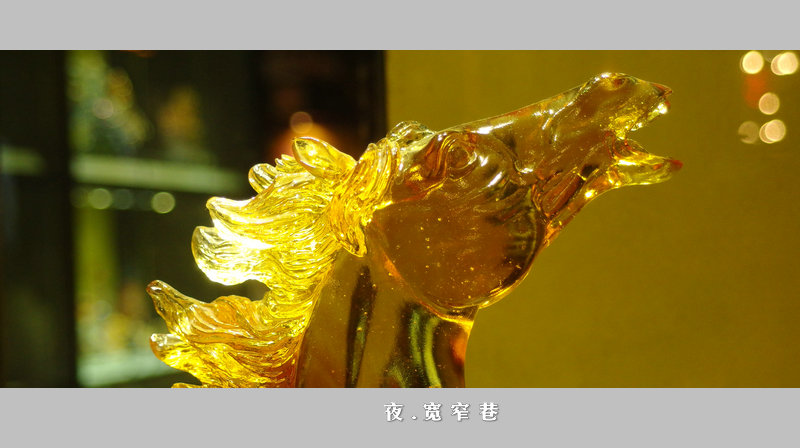 IMGP2241.jpg