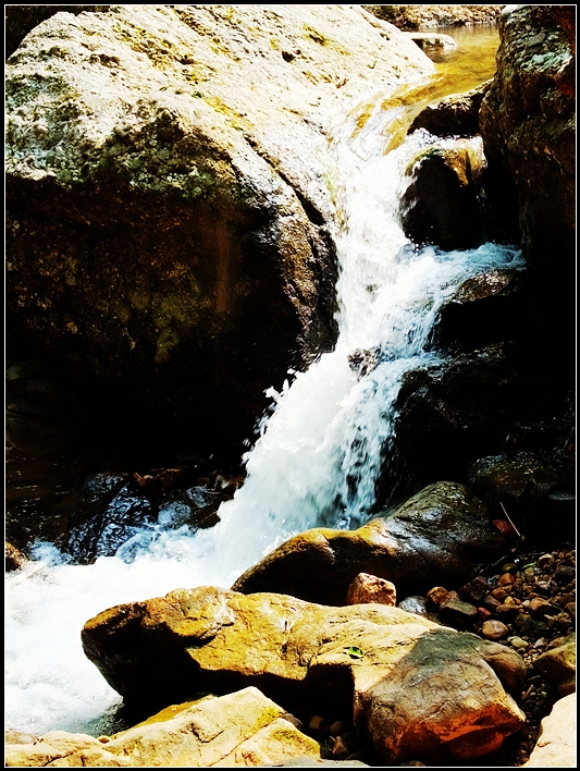 DSCF0307.jpg