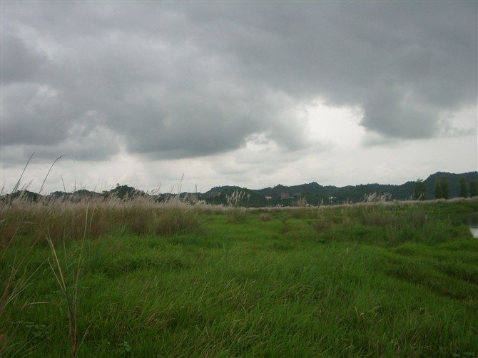 44.jpg