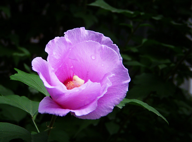 DSCN8044_.jpg