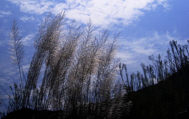 _DSC8757.jpg