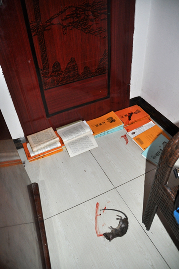 DSC_0010.jpg