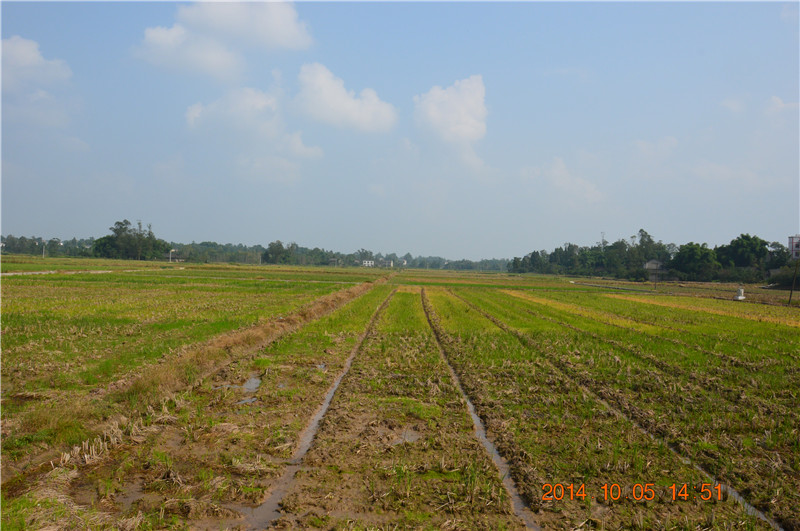 DSC_0002.JPG