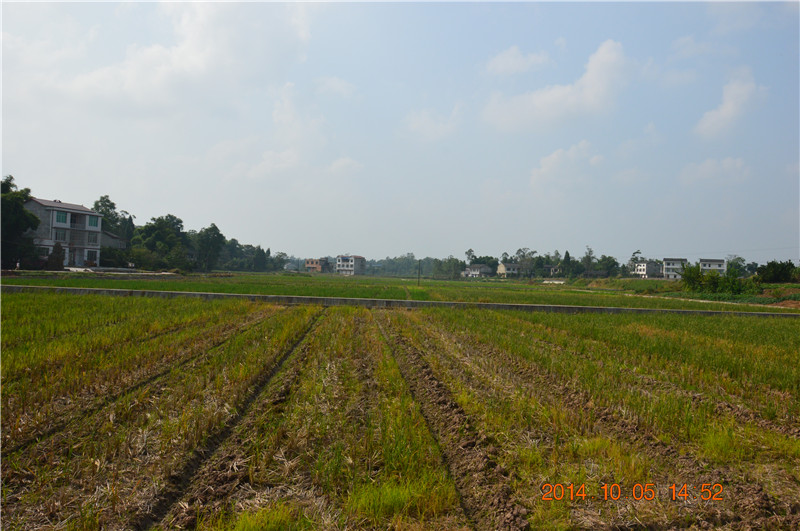 DSC_0004.JPG