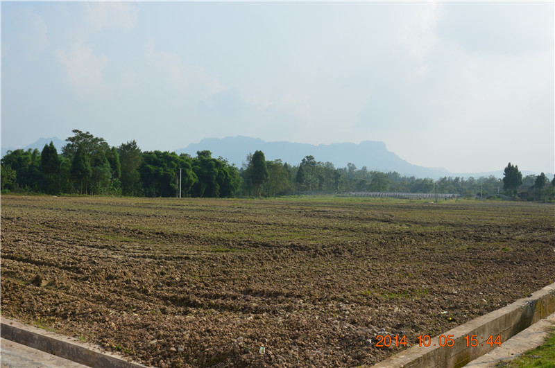 DSC_0041.JPG