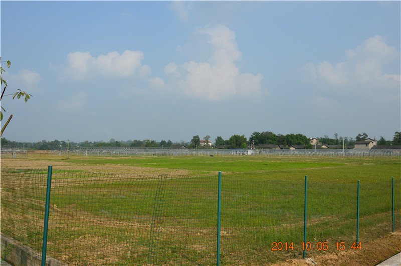 DSC_0042.JPG