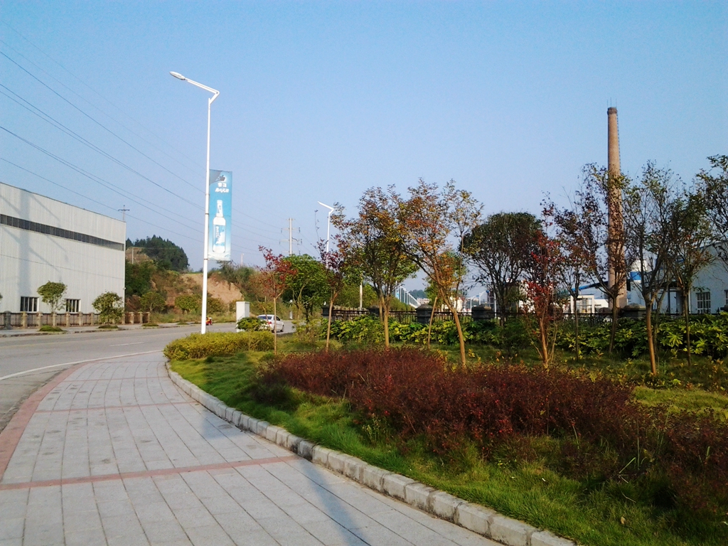 20141006_170242.jpg