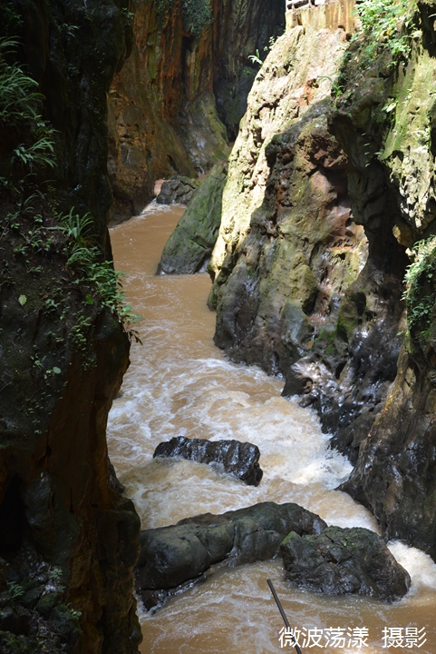DSC_4334.JPG