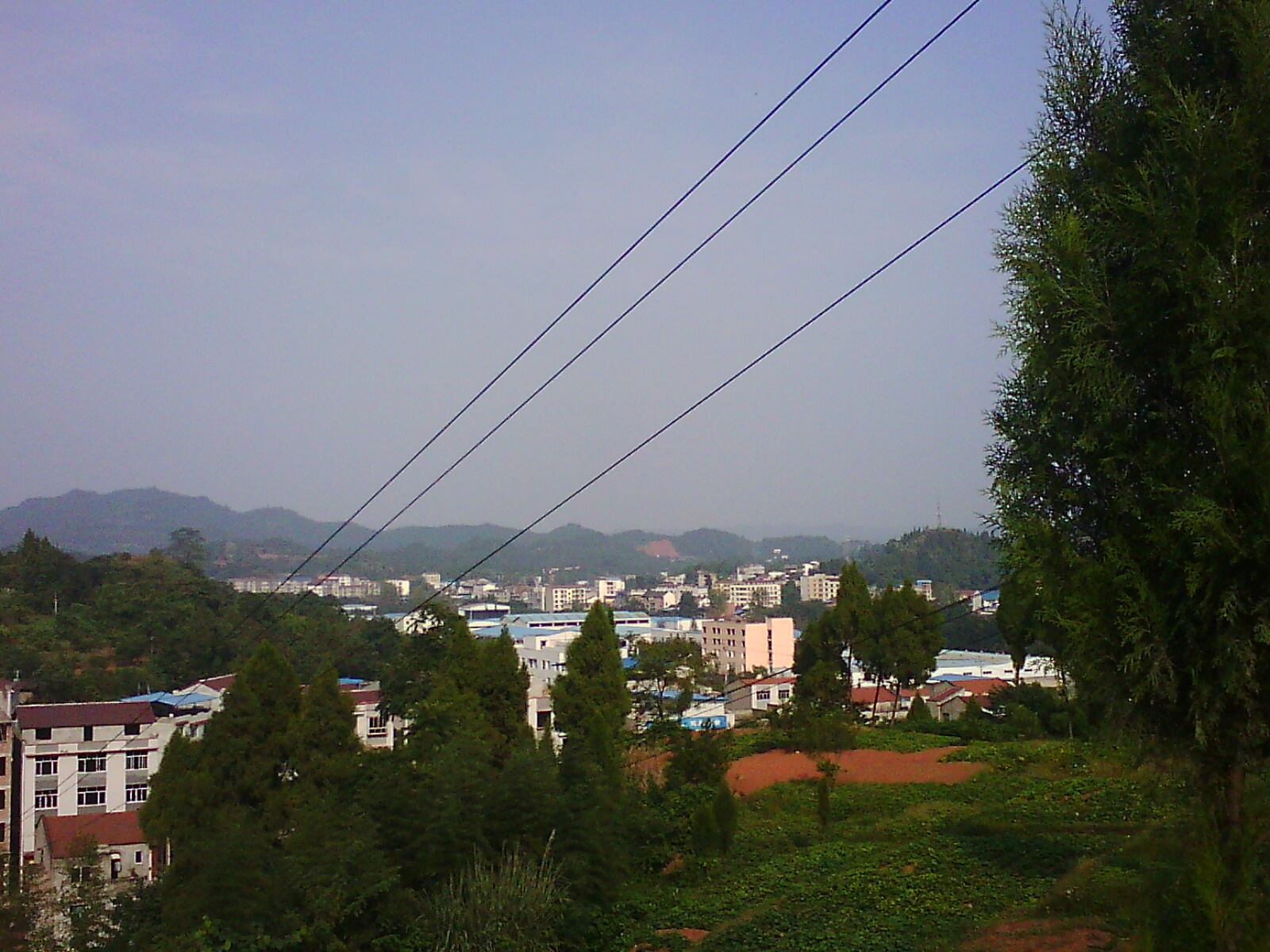 IMG14196.jpg