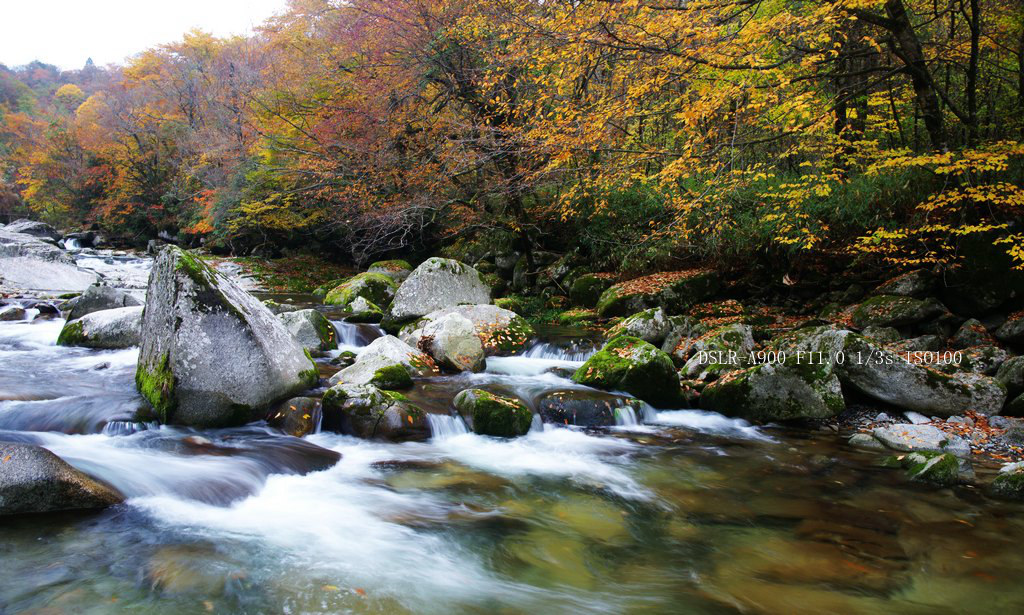 DSC00193_.jpg