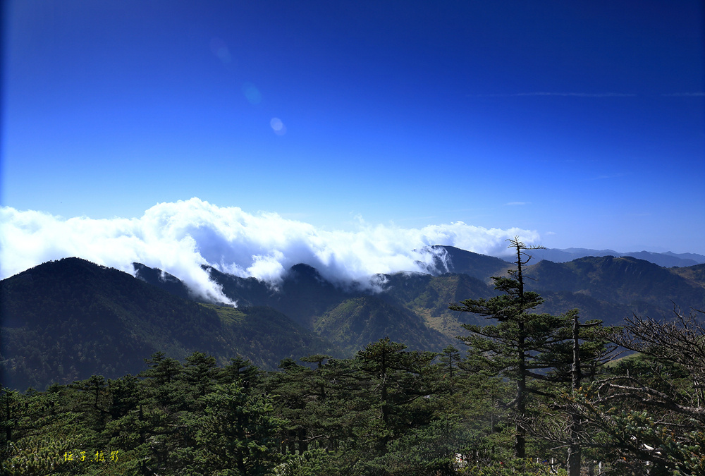9X9A7016_.jpg
