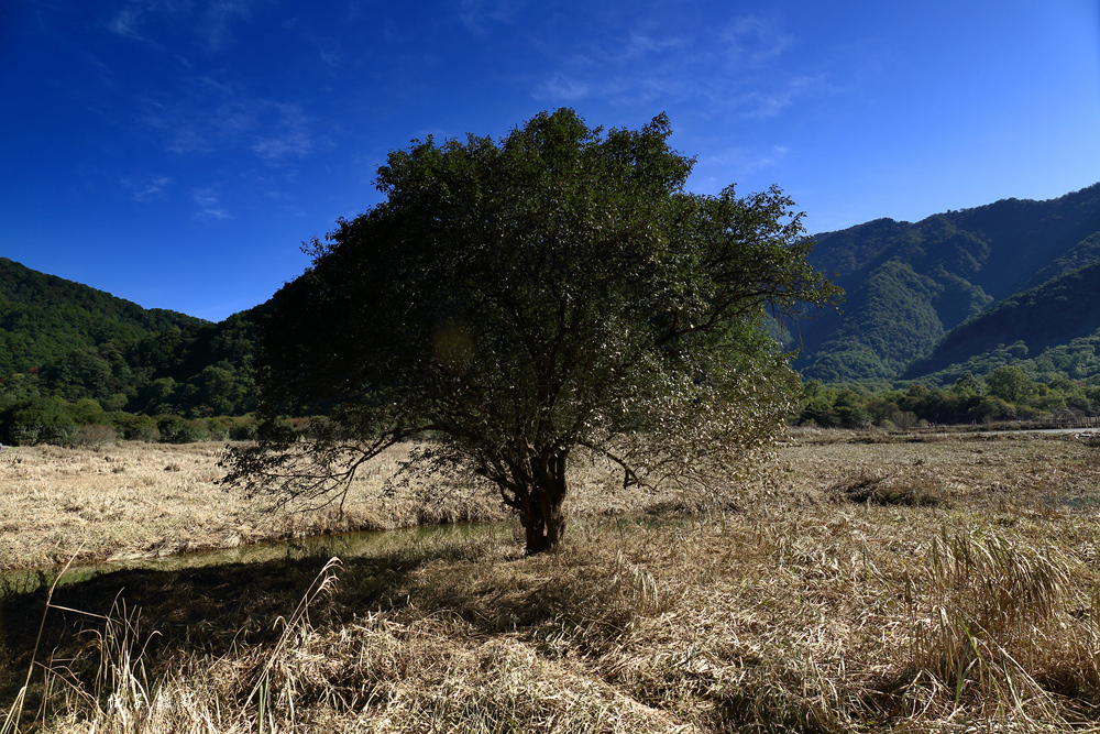 9X9A7107_.jpg