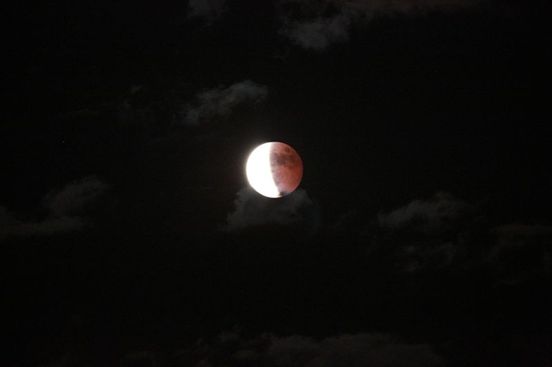 5Y6A4294_.jpg