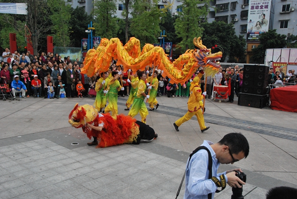 DSC_8681.jpg