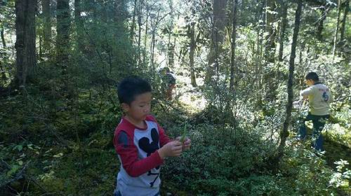 QQͼƬ20141010120941.jpg