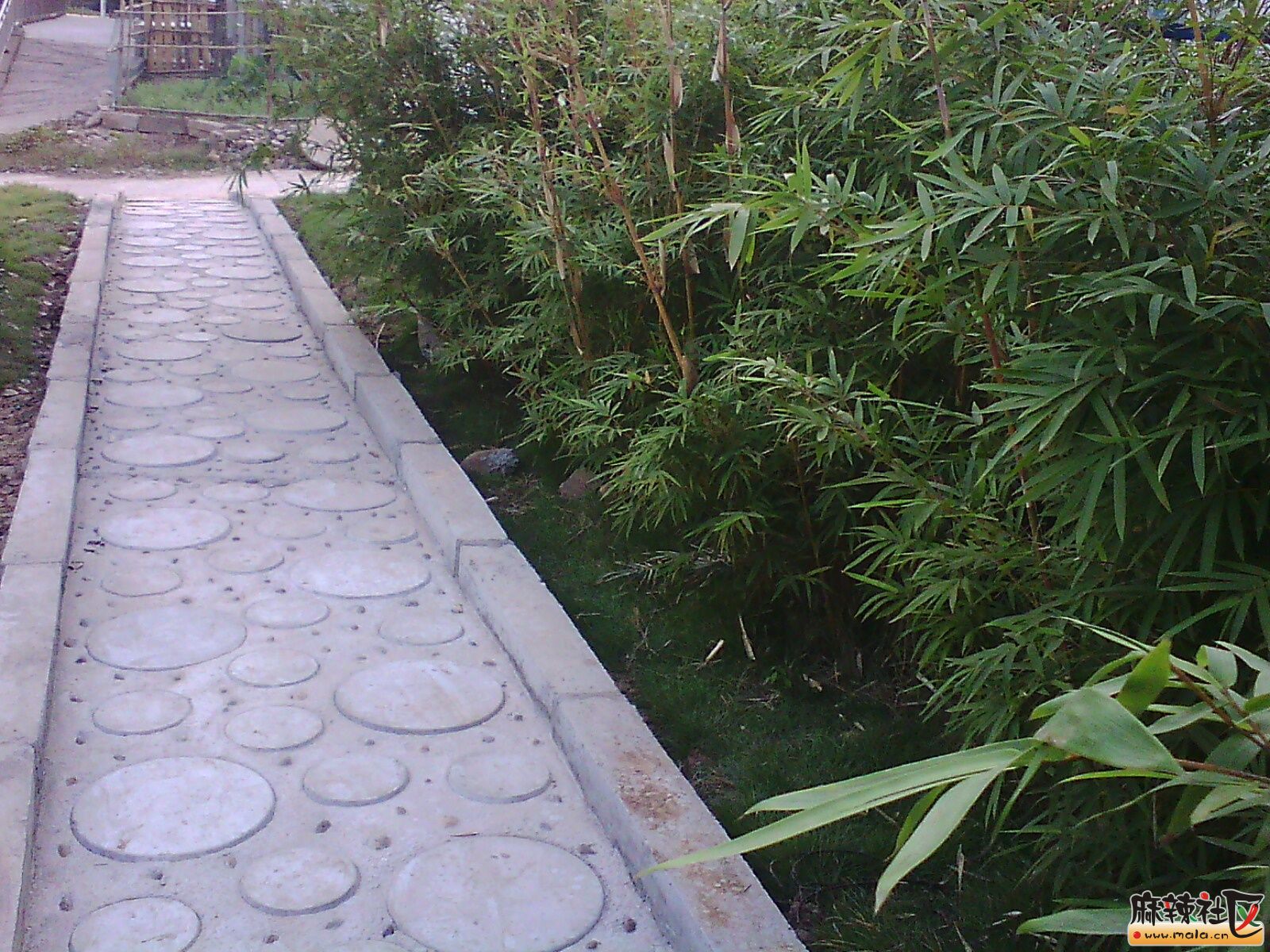 IMG14283.jpg