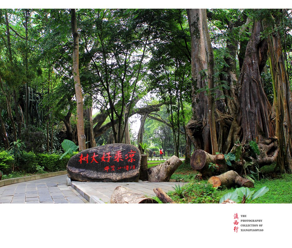 20141001-63.jpg