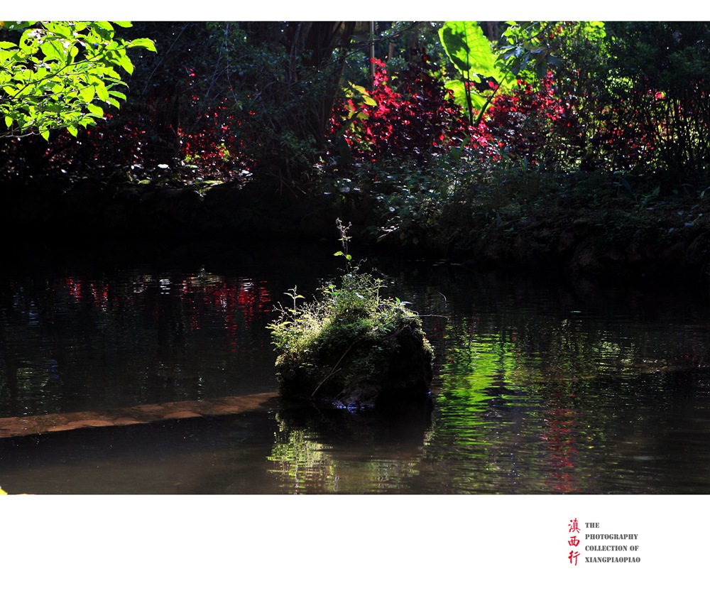 20141001-69.jpg