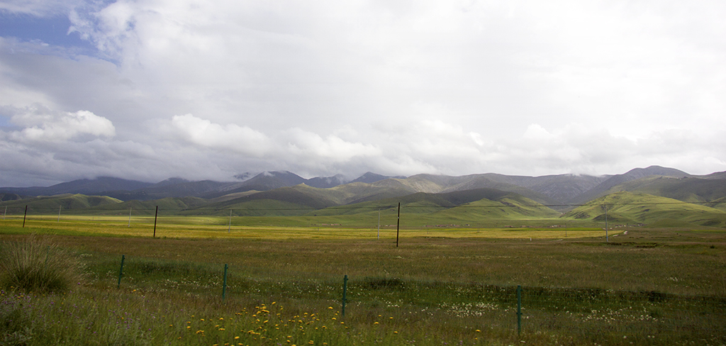 _MG_4208.jpg