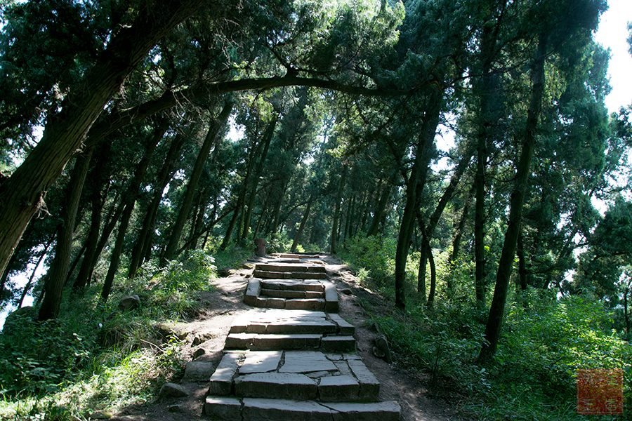 金堂雲頂山遊記