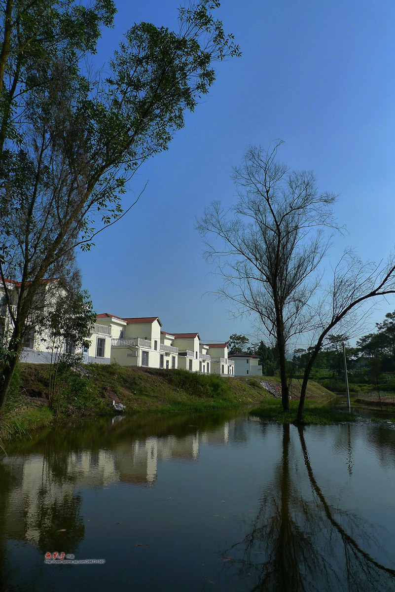 P1470690.jpg