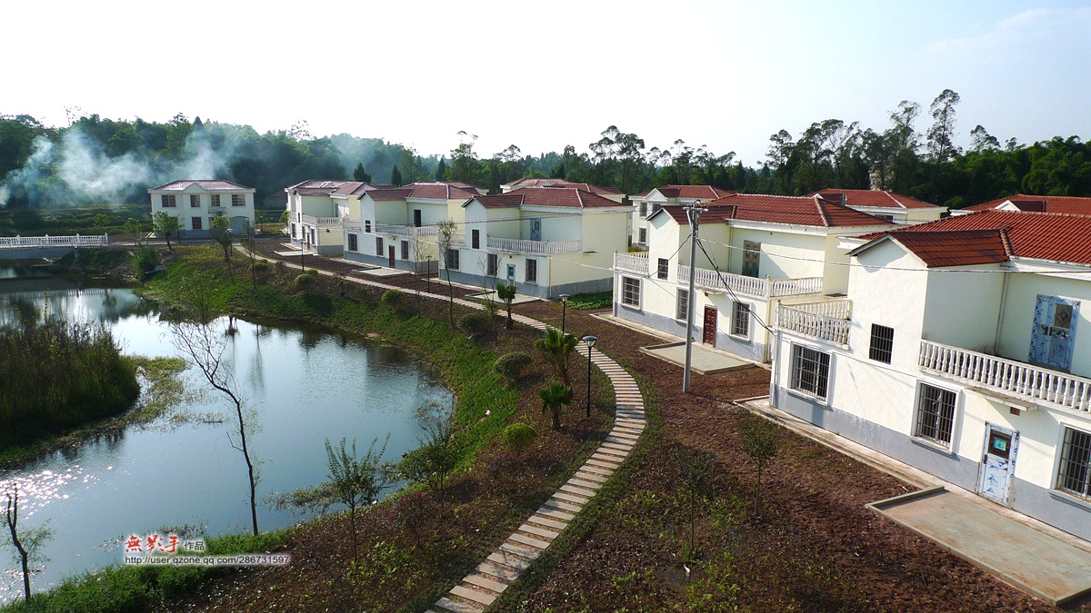 P1470731.jpg