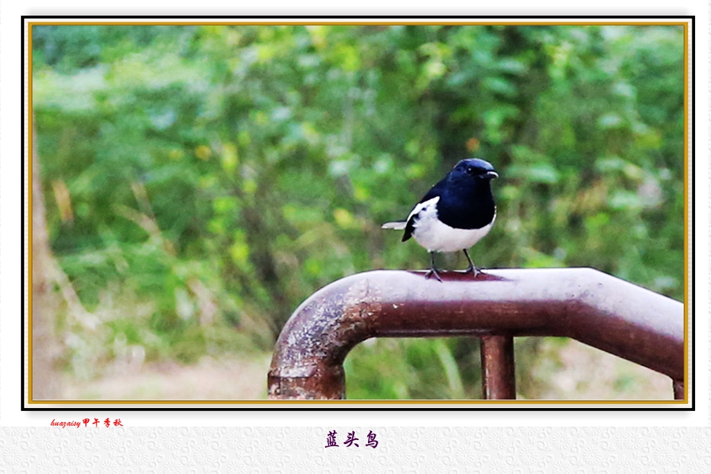 S98A4476__.jpg
