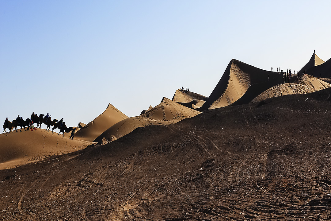 在浩瀚的巴丹吉林沙漠中,"沙漠之舟"是很好的代步工具