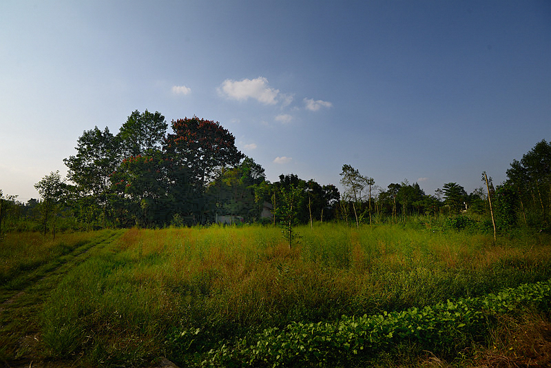 DSC_1275_.jpg