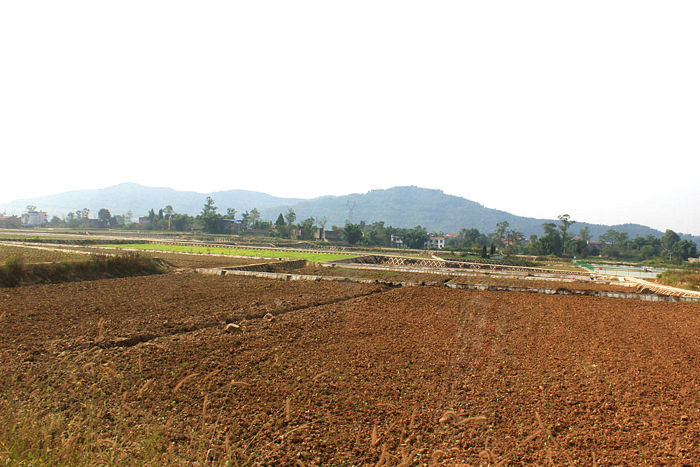 187.JPG