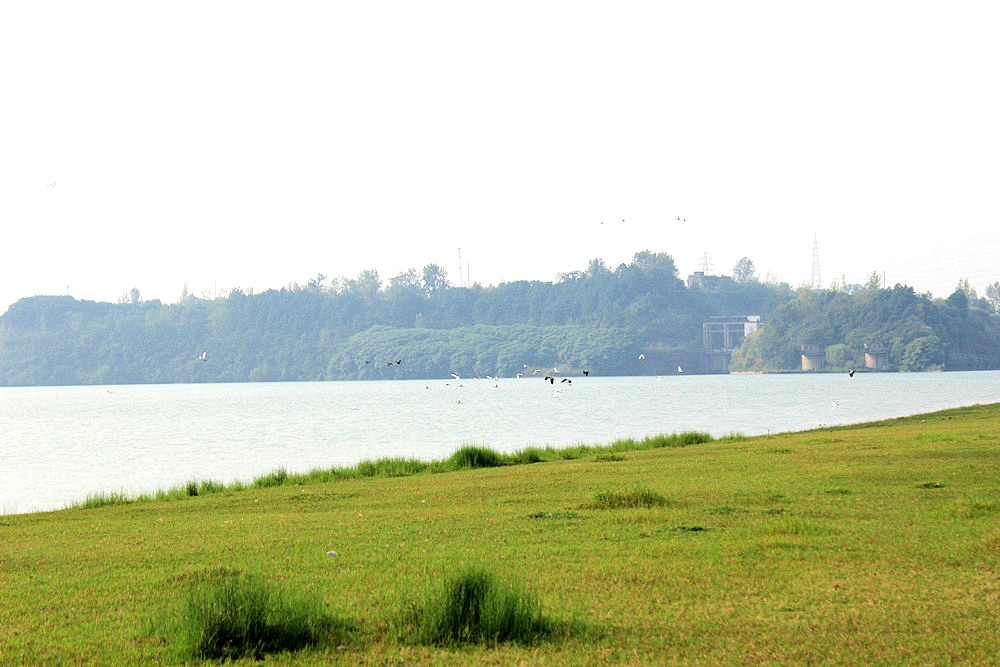 118.JPG