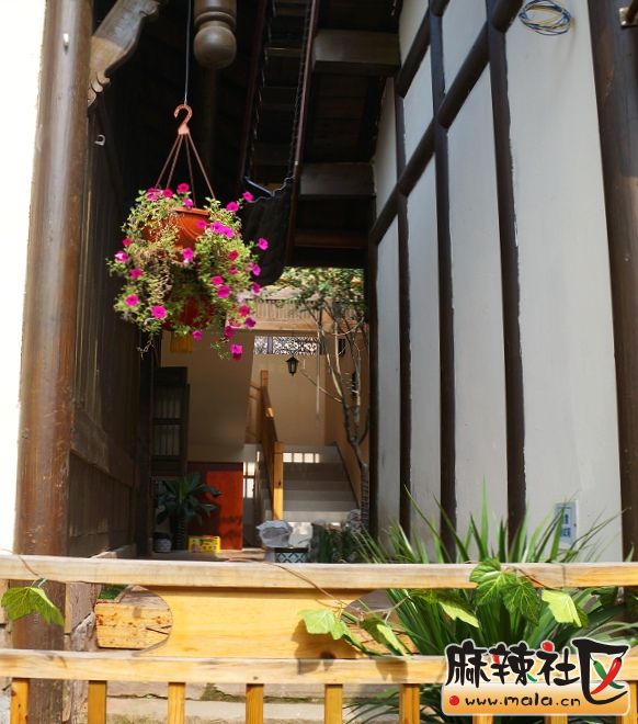 DSC07985.JPG
