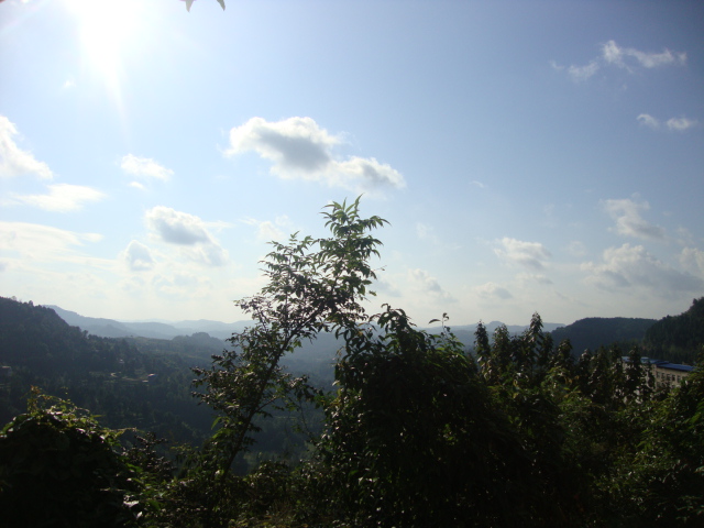 DSC02220.JPG