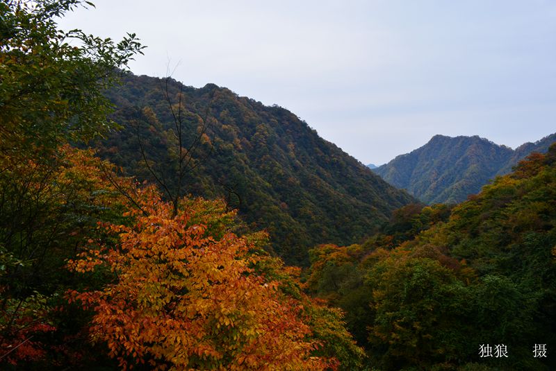 DSC_0065.JPG