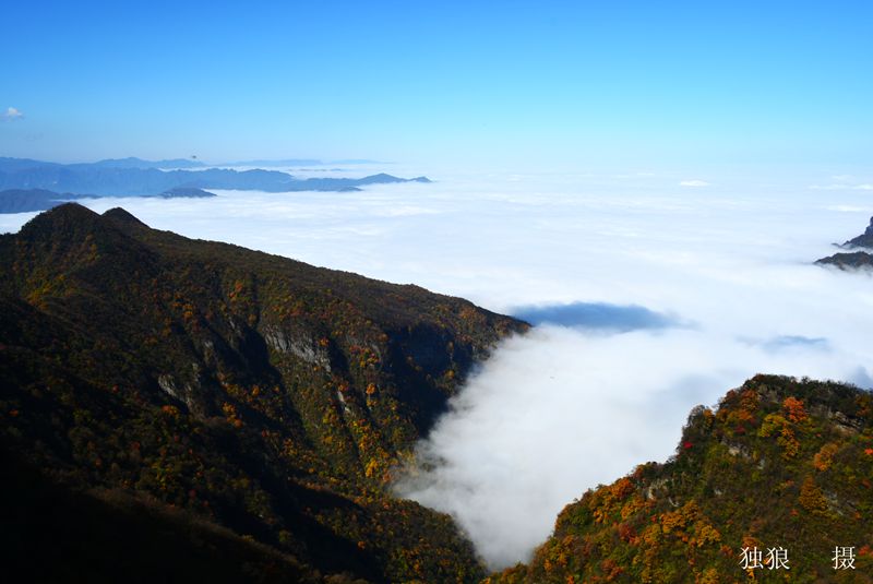 DSC_0598.JPG