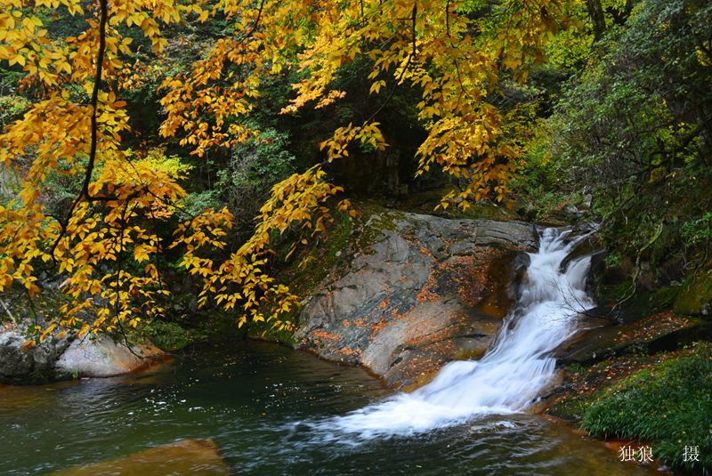 DSC_0218.JPG
