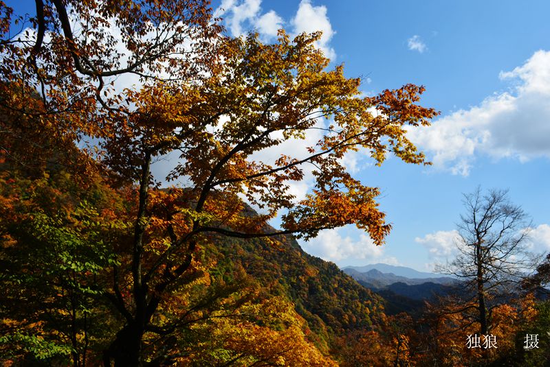 DSC_0793.JPG