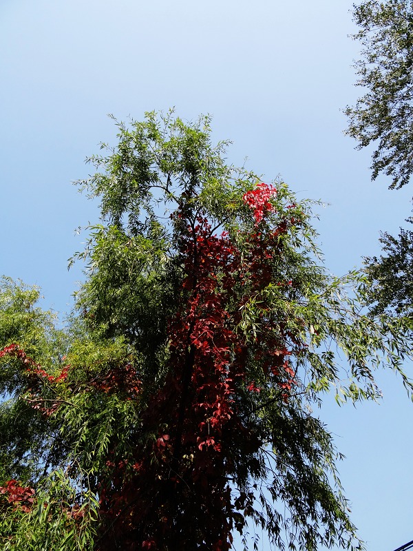 1-18Ұ.jpg