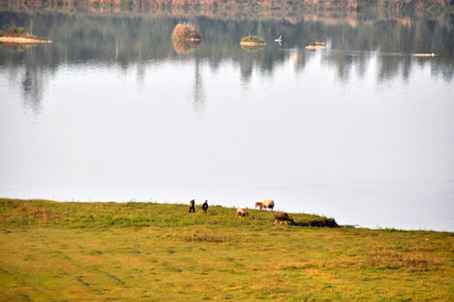 DSC_0106.jpg