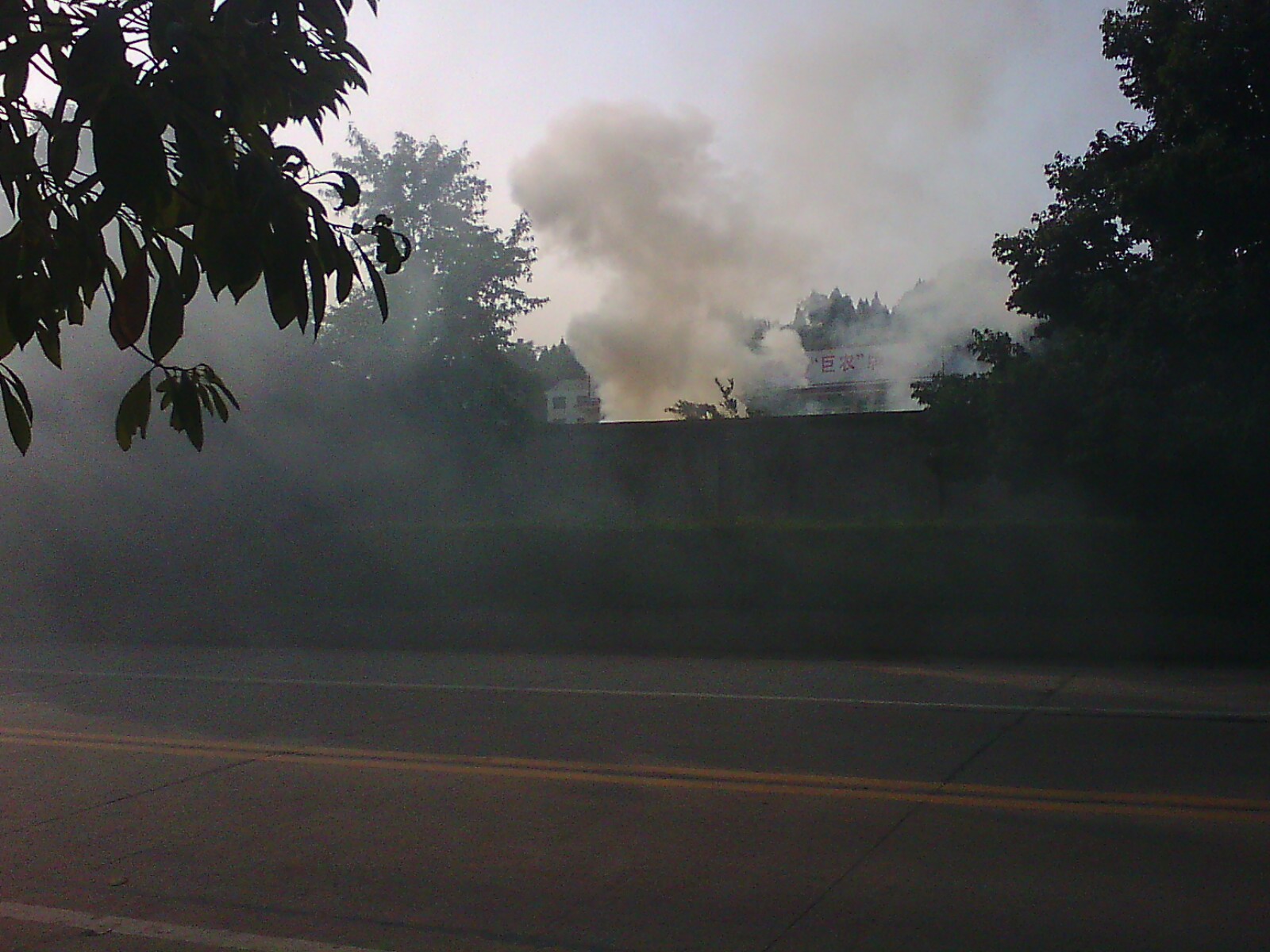 IMG14580.jpg