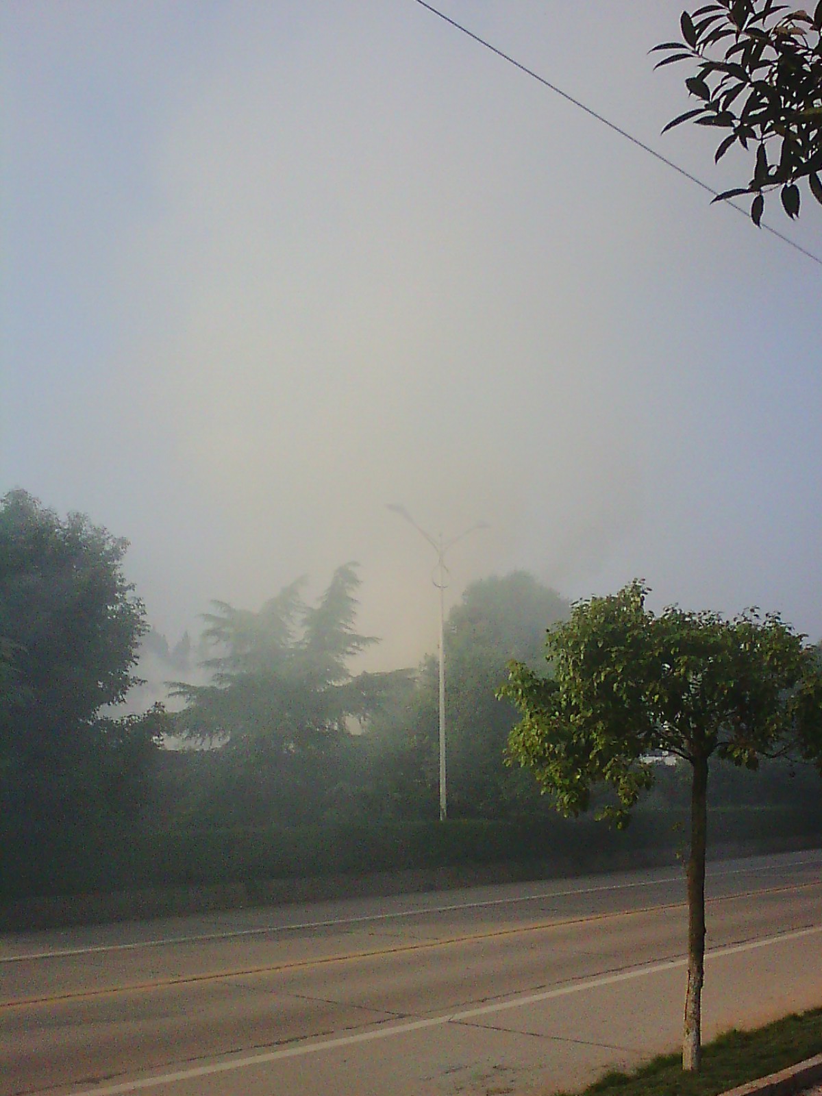 IMG14590.jpg
